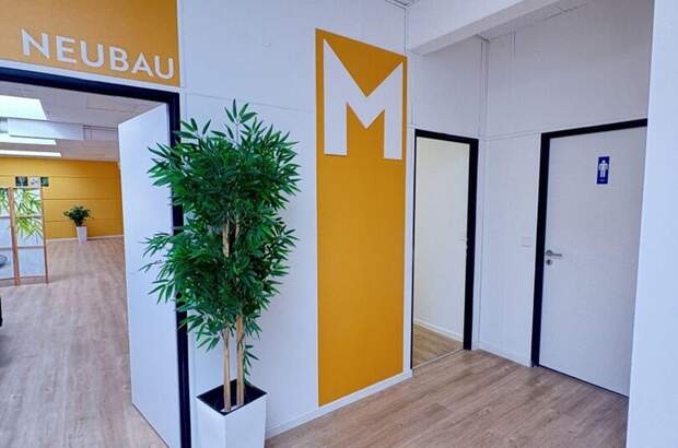 Gewerbeobjekt mieten in 4063 Hörsching (Bild 3)