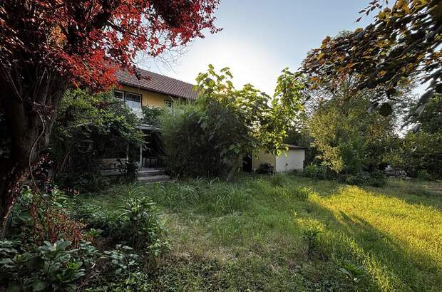 Einfamilienhaus kaufen in 3712 Maissau (Bild 2)