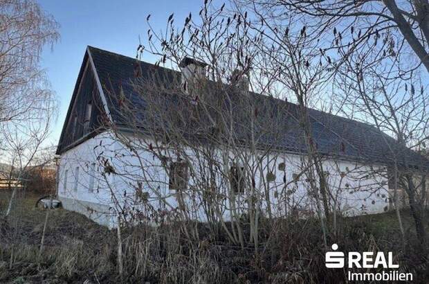 Haus kaufen in 4262 Dorf Leopoldschlag (Bild 4)