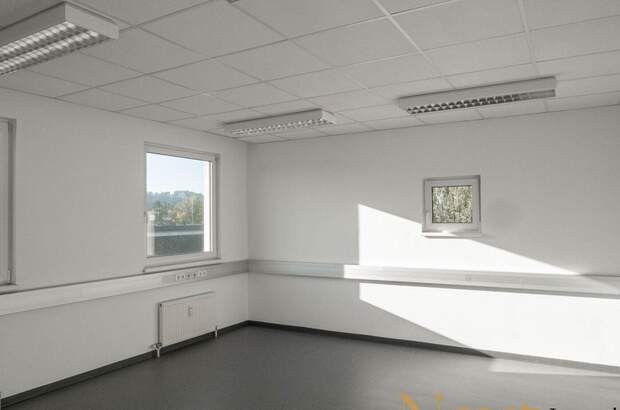 Gewerbeobjekt mieten in 4600 Wels (Bild 2)