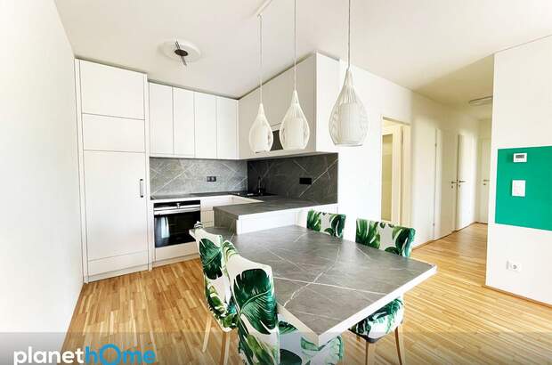 Terrassenwohnung mieten in 1210 Wien (Bild 4)