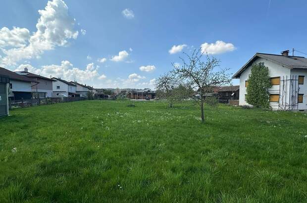 Grundstück kaufen in 5231 Schalchen (Bild 2)