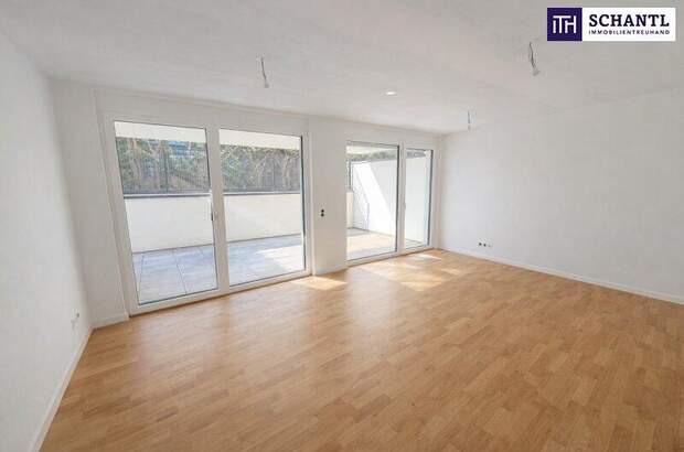 Terrassenwohnung kaufen in 1210 Wien (Bild 1)