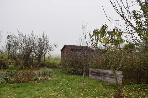Haus mit Garten kaufen in 4062 Thürnau (Bild 4)