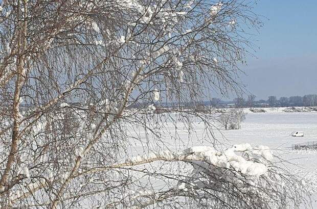 Wohnung kaufen in 3441 Judenau (Bild 4)