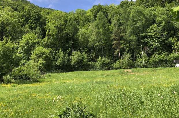 Grundstück kaufen in 8051 Graz (Bild 4)