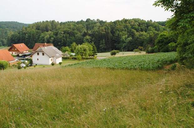 Grundstück kaufen in 8081 Edelstauden (Bild 1)