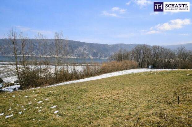 Grundstück kaufen in 3681 Hofamt Priel (Bild 2)