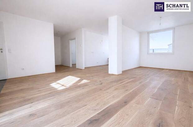 Terrassenwohnung kaufen in 2514 Traiskirchen (Bild 2)