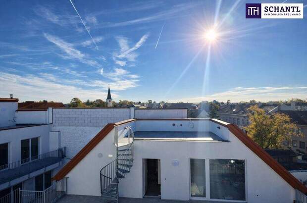 Terrassenwohnung kaufen in 2514 Traiskirchen (Bild 2)