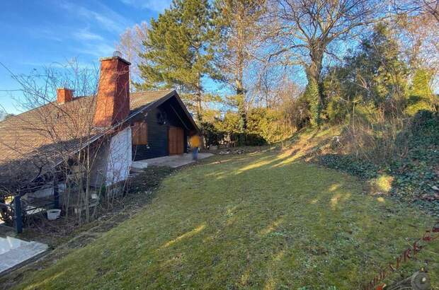 Haus mit Garten kaufen in 2163 Guttenbrunn (Bild 2)