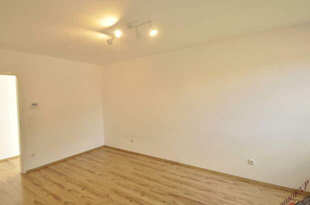 Wohnung mieten in 3021 Pressbaum (Bild 4)
