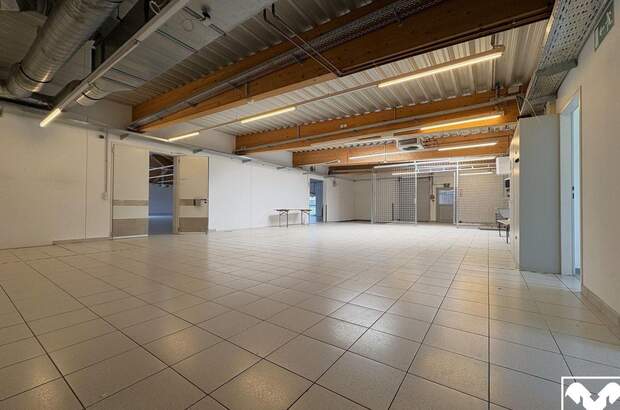 Gewerbeobjekt mieten in 4631 Krenglbach (Bild 5)