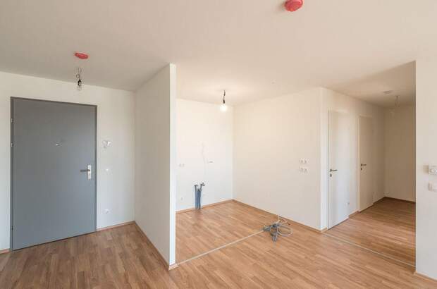 Wohnung mit Balkon mieten in 1230 Wien (Bild 4)