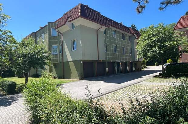 Terrassenwohnung mieten in 3270 Scheibbs (Bild 1)
