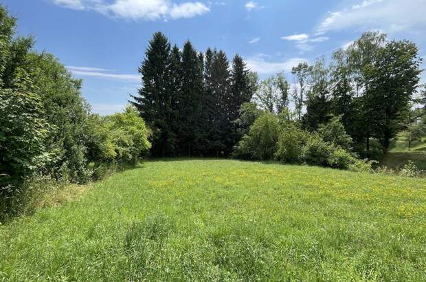 Grundstück kaufen in 8045 Weinitzen (Bild 1)