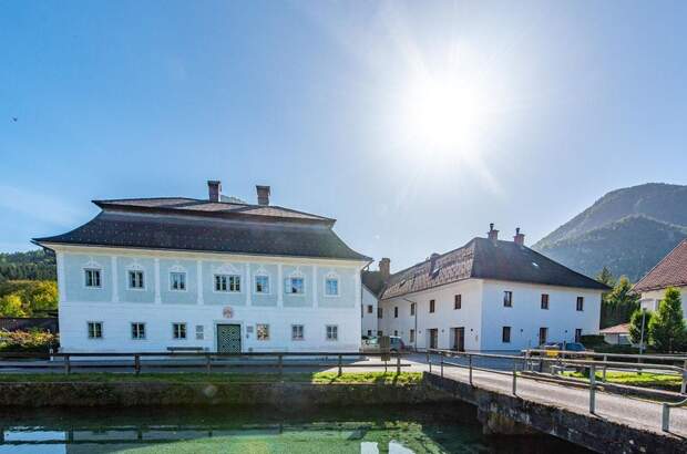 Gewerbeobjekt mieten in 4644 Scharnstein (Bild 5)