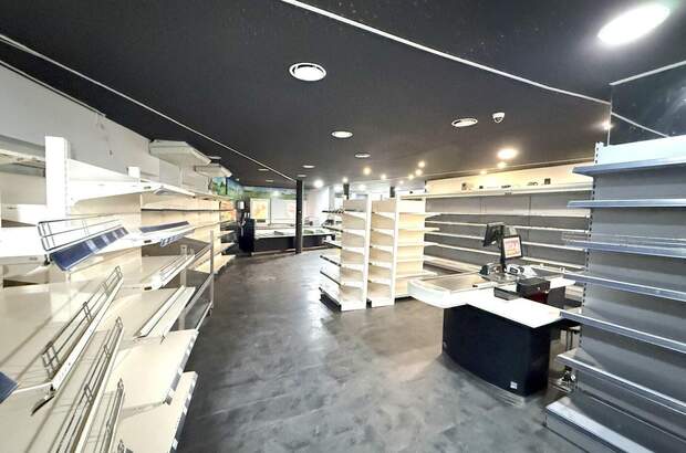 Gewerbeobjekt mieten in 1220 Wien (Bild 2)