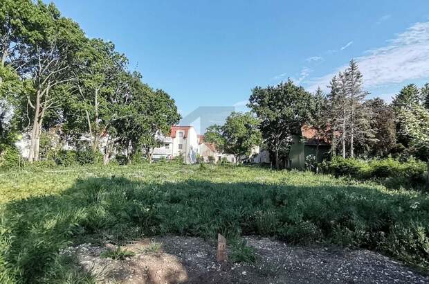 Grundstück kaufen in 2522 Oberwaltersdorf (Bild 4)