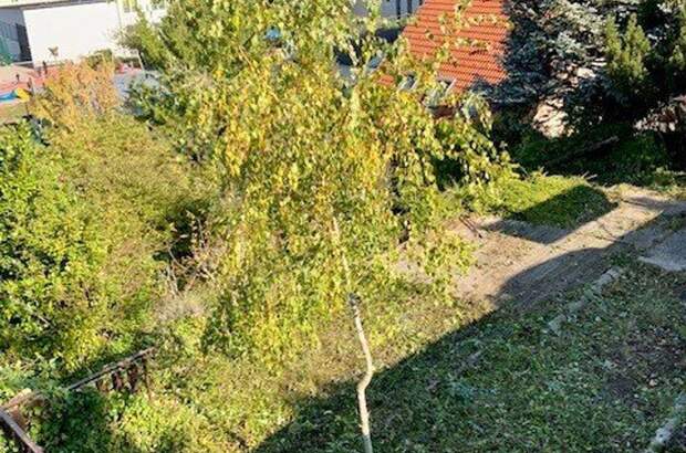 Grundstück kaufen in 3400 Klosterneuburg (Bild 3)