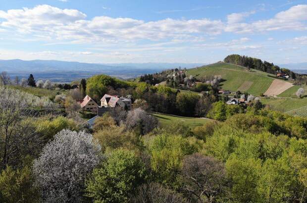 Haus kaufen in 8441 Sankt Andrä (Bild 3)