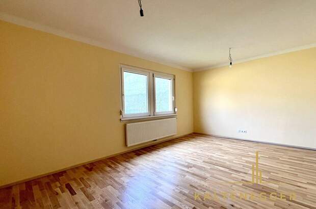 Gewerbeobjekt mieten in 2331 Vösendorf (Bild 2)