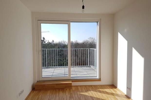 Terrassenwohnung mieten in 1220 Wien (Bild 4)