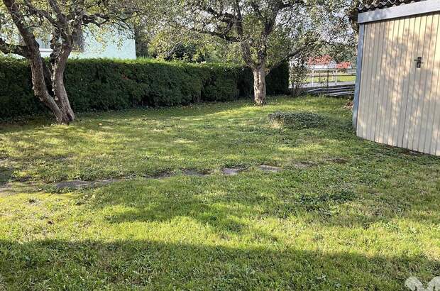 Haus mit Garten kaufen in 8523 Freidorf (Bild 4)