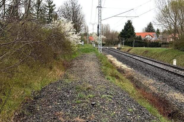 Grundstück kaufen in 8175 Balatonfuzfo (Bild 5)