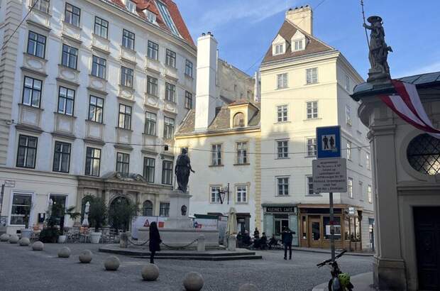 Altbauwohnung kaufen in 1010 Wien (Bild 1)