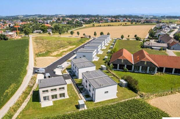 Haus mit Garten kaufen in 3350 Haag (Bild 3)