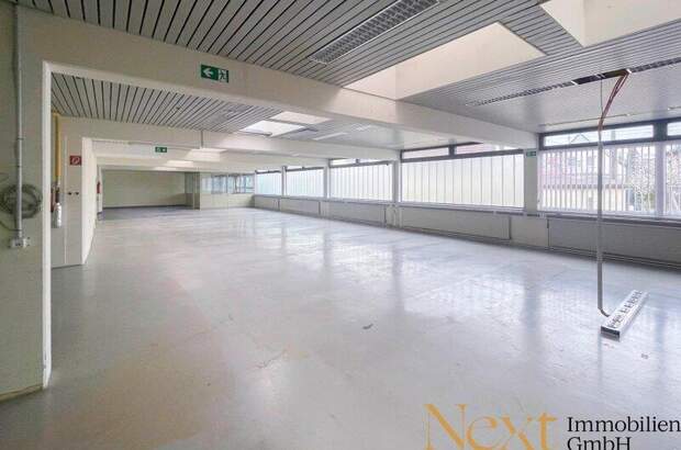 Lager mieten in 4061 Pasching (Bild 2)