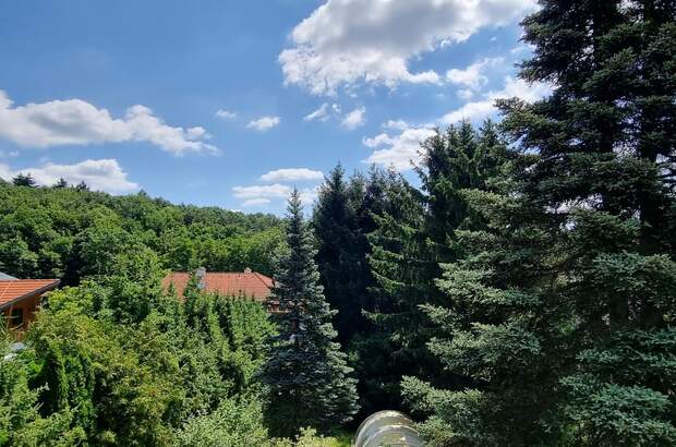 Einfamilienhaus kaufen in 3021 Pressbaum (Bild 2)