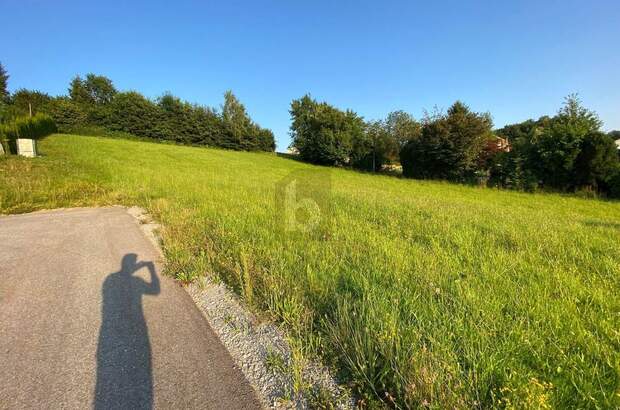 Grundstück kaufen in 5272 Treubach (Bild 2)