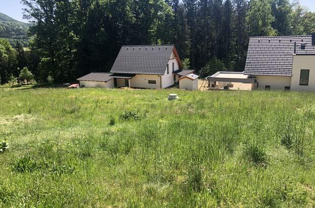 Grundstück kaufen in 8411 Hengsberg (Bild 3)