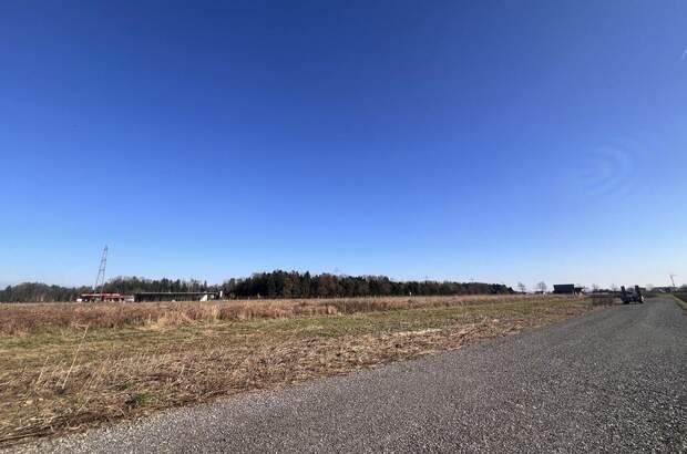 Gewerbeobjekt kaufen in 8423 Sankt Veit (Bild 4)