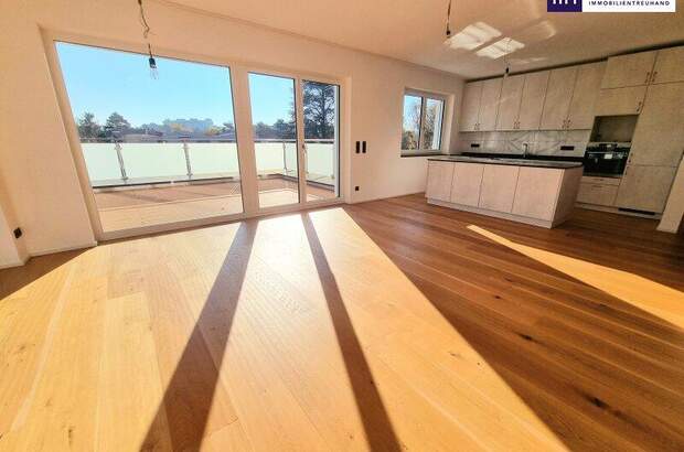 Terrassenwohnung mieten in 1210 Wien (Bild 1)