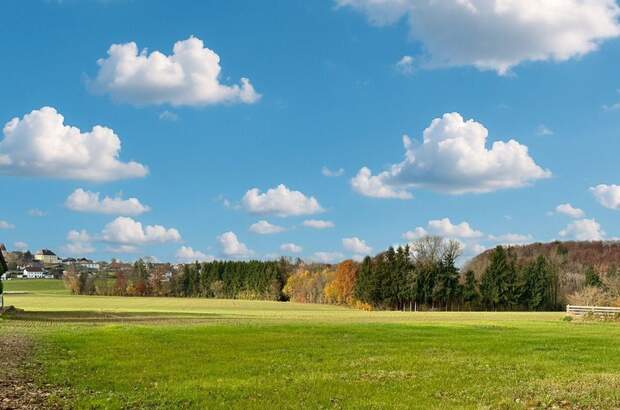 Grundstück kaufen in 4694 Ohlsdorf (Bild 1)