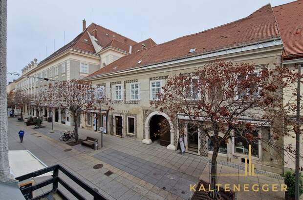 Anlageobjekt kaufen in 2700 Wiener Neustadt (Bild 4)