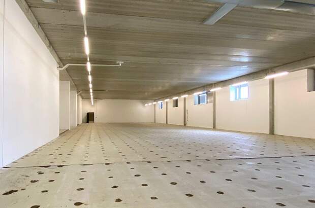 Gewerbeobjekt mieten in 1220 Wien (Bild 1)