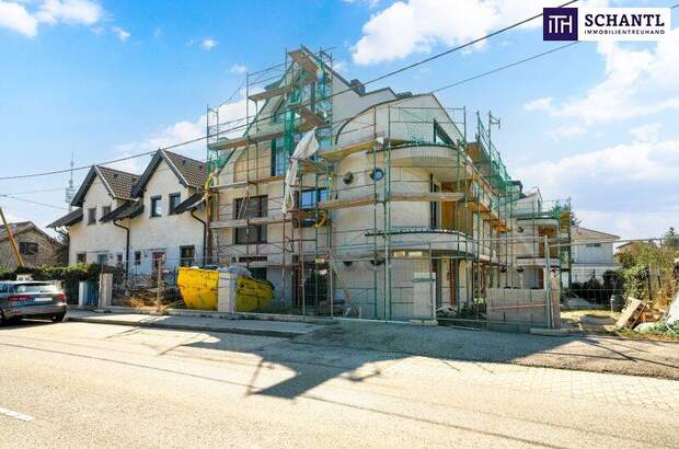 Terrassenwohnung kaufen in 1210 Wien (Bild 4)