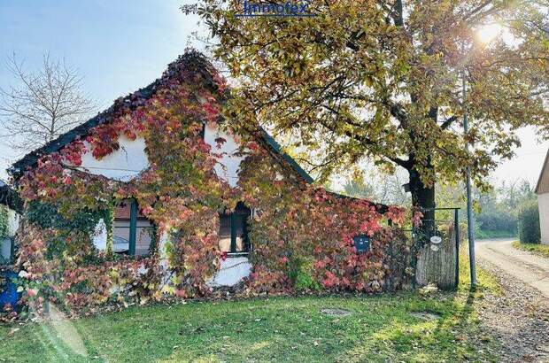 Bauernhaus kaufen in 2042 Guntersdorf (Bild 1)