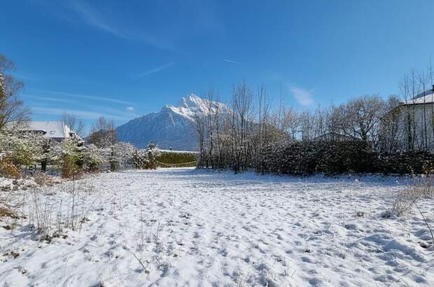 Grundstück kaufen in 5081 Anif (Bild 1)