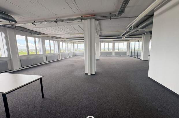 Gewerbeobjekt mieten in 4614 Marchtrenk (Bild 5)