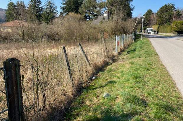 Grundstück kaufen in 3021 Preßbaum (Bild 3)