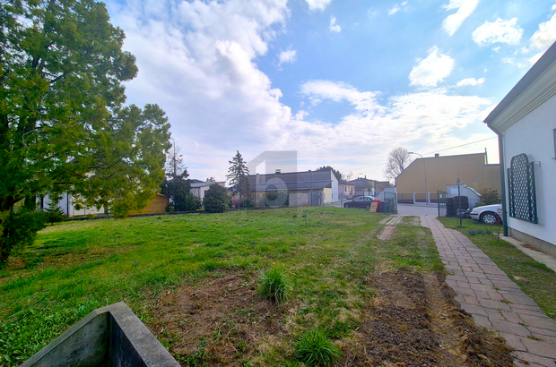 Einfamilienhaus kaufen in 2401 Fischamend (Bild 5)