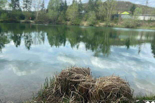 Gewerbeobjekt kaufen in 3382 Neubach (Bild 5)