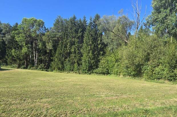 Grundstück kaufen in 8292 Neudau (Bild 1)