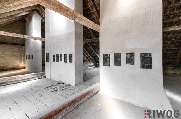 Terrassenwohnung kaufen in 1100 Wien (Bild 4)