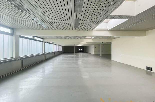 Gewerbeobjekt mieten in 4061 Pasching (Bild 2)